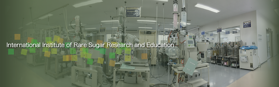 国際希少糖研究教育機構 International Institute of Rare Sugar Research and Education