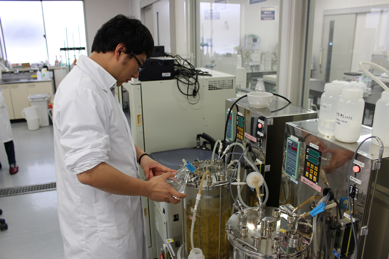Dr. Yoshihara operates Jar fermenter