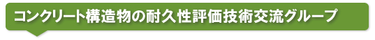コンクリート構造物の耐久性評価技術交流グループ