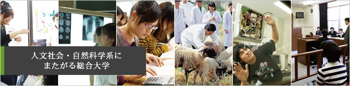 学部・大学院