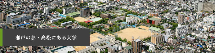 大学案内