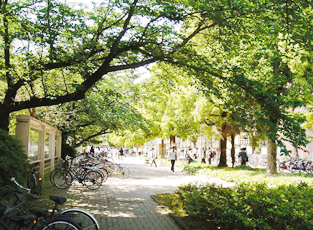 概要・風景