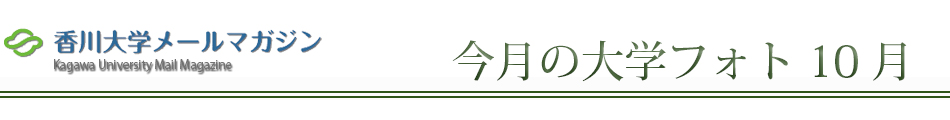 ^Cg