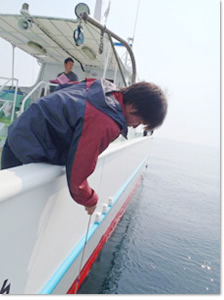 海水の透明度を観測中!