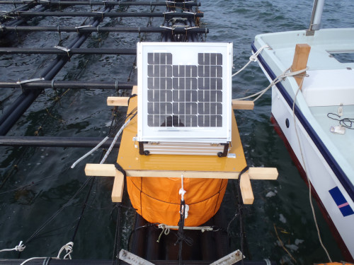 貝リンガル本体です。太陽電池で自家発電します。陸上との通信は携帯端末で行います。