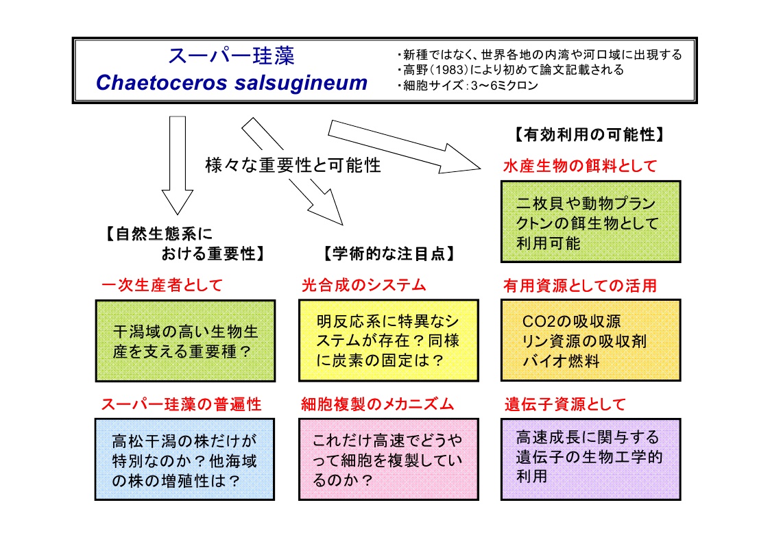 スーパー珪藻の重要性と可能性