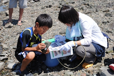 名前を調べながら記録。