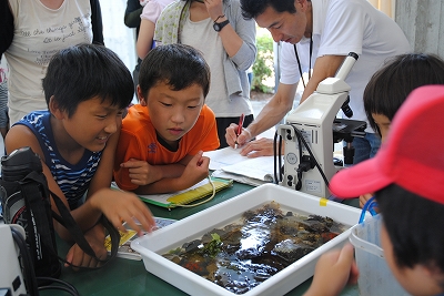 笠田高校の理科実験室にて、採集した生物の確認。