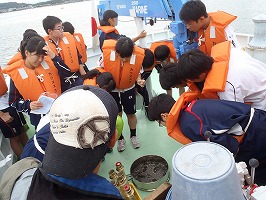 海底の生物採集