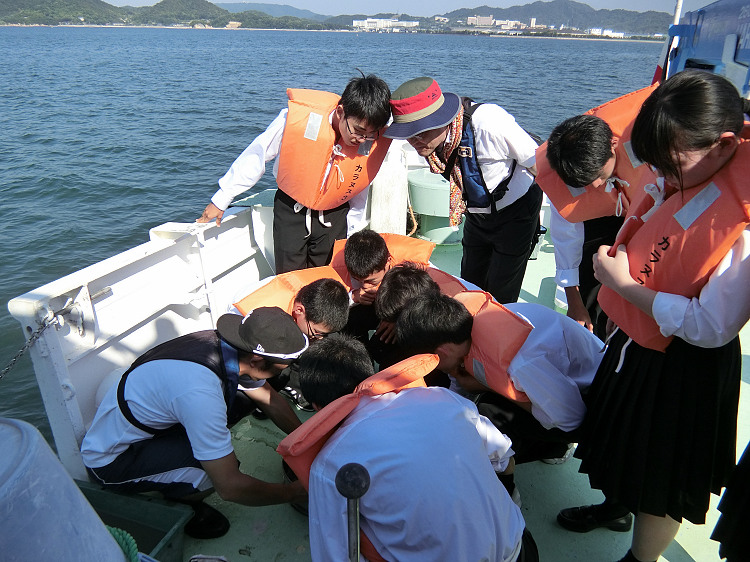 海底の生物を観察しています