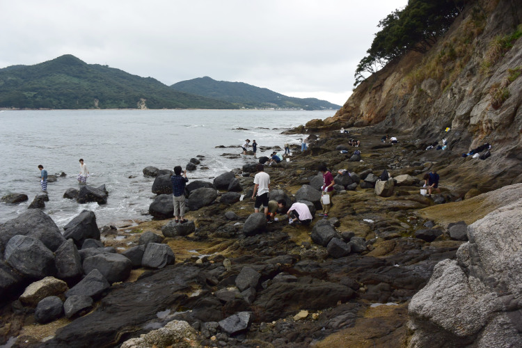 無人島で磯生物調査その1