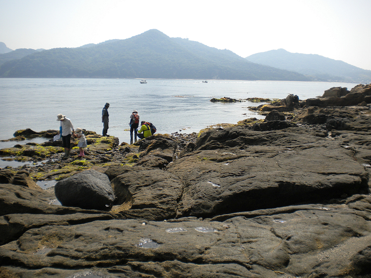 高島での観察風景2