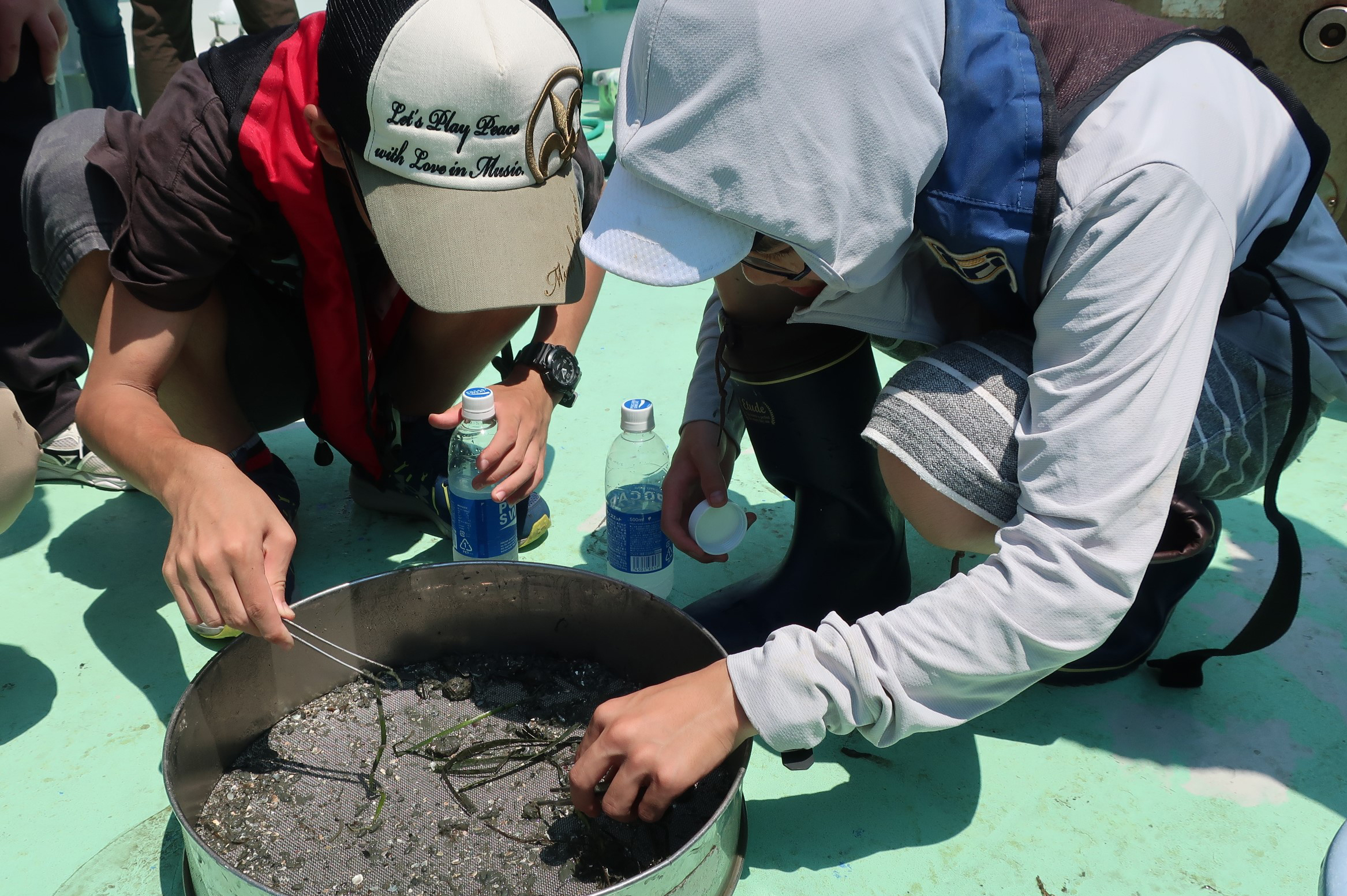 海底に生息する生物の観察