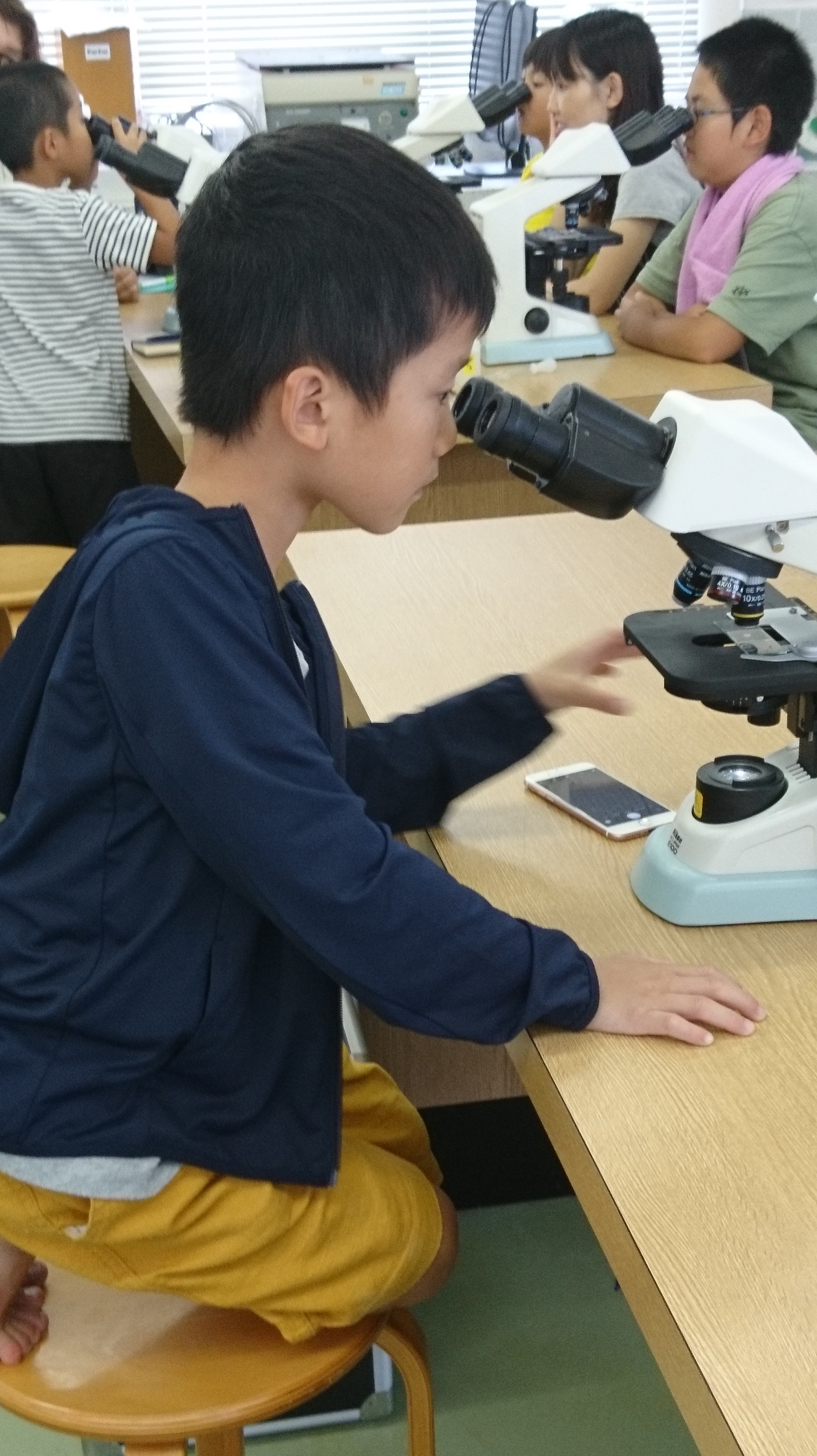 顕微鏡観察する参加者の少年