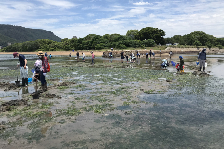 会場の新川河口干潟