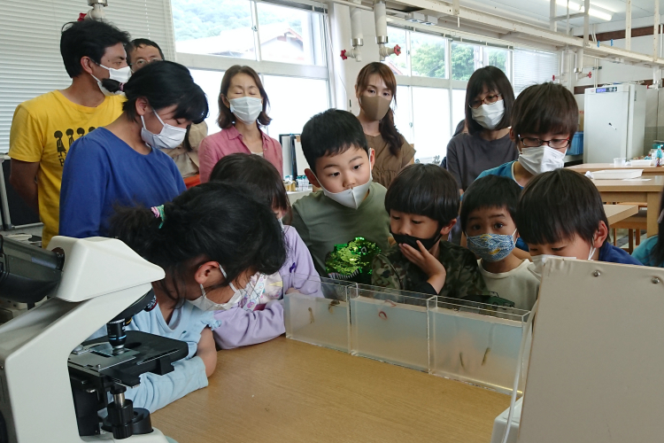 こんなふうにもぐるんだ！（寒天水槽）