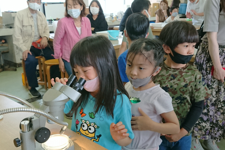 小さな生き物も顕微鏡で観察