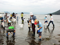 浜辺の自然・文化・歴史教室