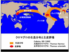 平成２２年度 香川大学瀬戸内圏研究センター学術講演会 熊井英水氏 クロマグロの完全養殖達成と将来展望