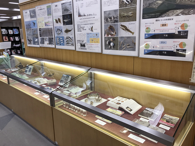 展示（地域ガイド／全国通訳案内士）