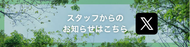 スタッフからのお知らせはこちら