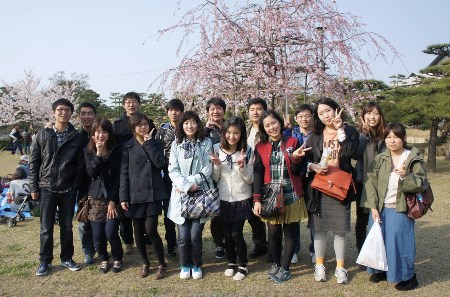 Cherry-blossom viewing with friends