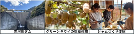 画像1.jpg