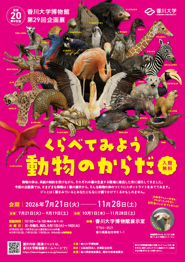 第29回企画展「くらべてみよう動物のからだ」