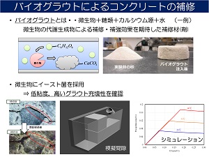 研究室紹介図1-2.jpg