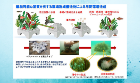 香川大学が開発した藻場造成構造物（マリンマッシュ）の一部を 香川県の藻場増殖場へ移設する試験を初実施
