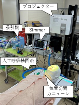 Simmar+ESTE-SIM