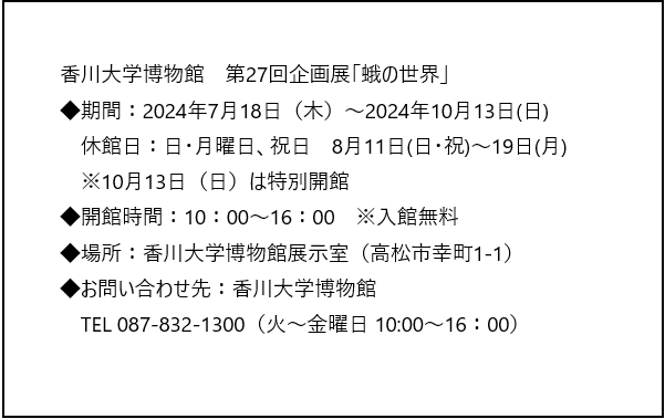 博物館0718～.png