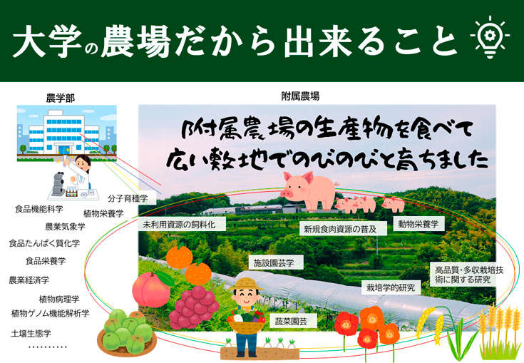 HP用画像1_イメージ「大学農場だから出来ること」.jpg