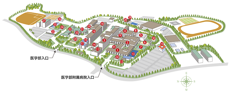 Faculty of Medicine map2w735px.png