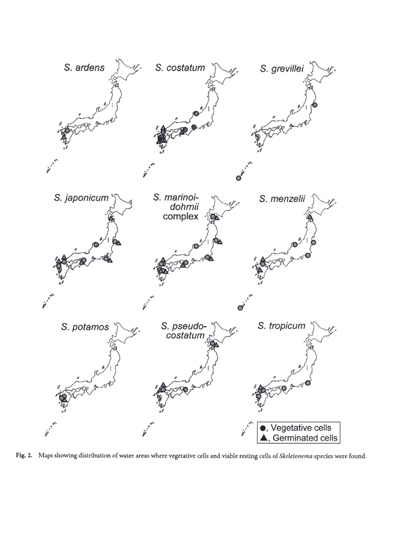 研究内容の図2_2.jpg