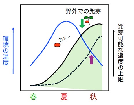 図1.jpg