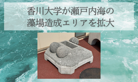 香川大学が瀬戸内海の藻場造成エリアを拡大 ―昨年の坂出市内2か所に続き、さぬき市津田町の猿子島地先に 藻場造成構造物を新たに沈設―