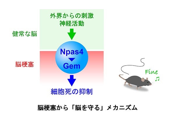 2概略図web2.jpg