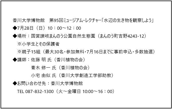 博物館0728.png