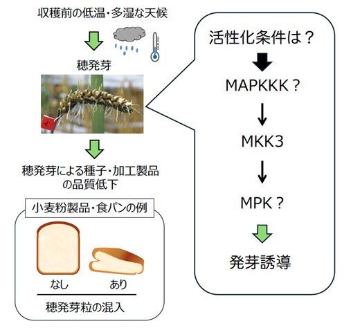 図2.jpg