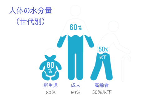 水分量.png