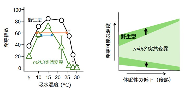 図3.jpg