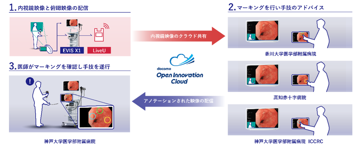 本実証実験のイメージ