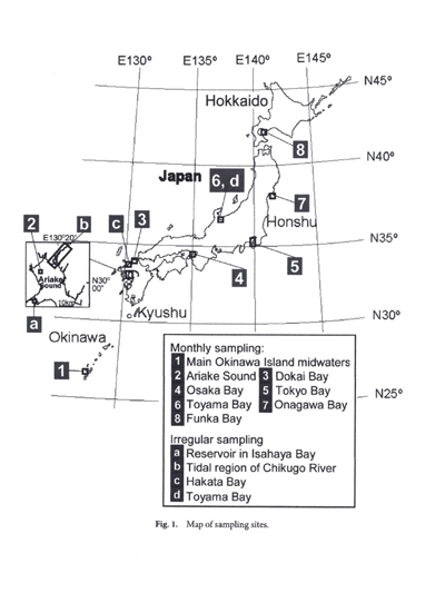 研究内容の図1_2.jpg