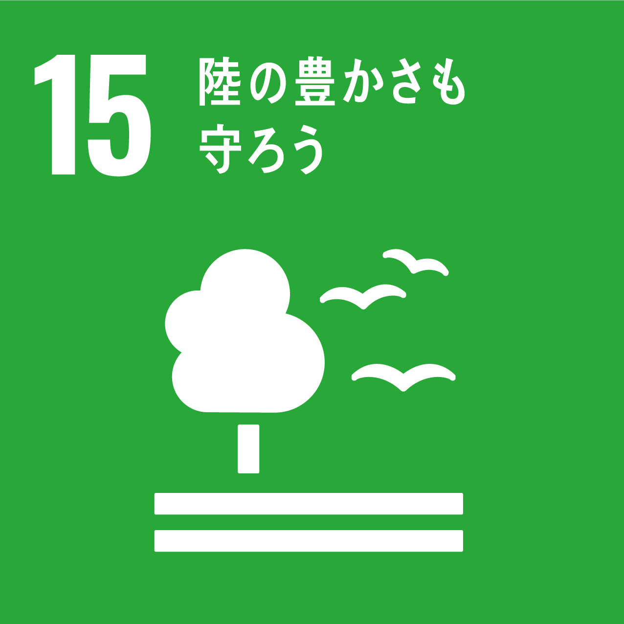 香川大学 シナアブラギリ油脂の有効利用