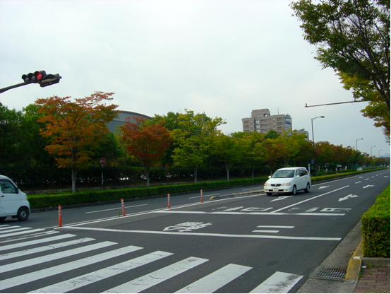 On the way to Faculty of Engineering