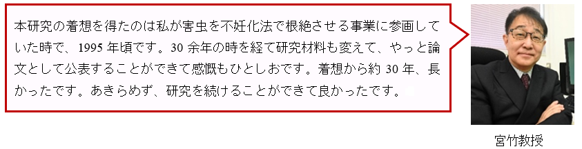 宮武教授.png