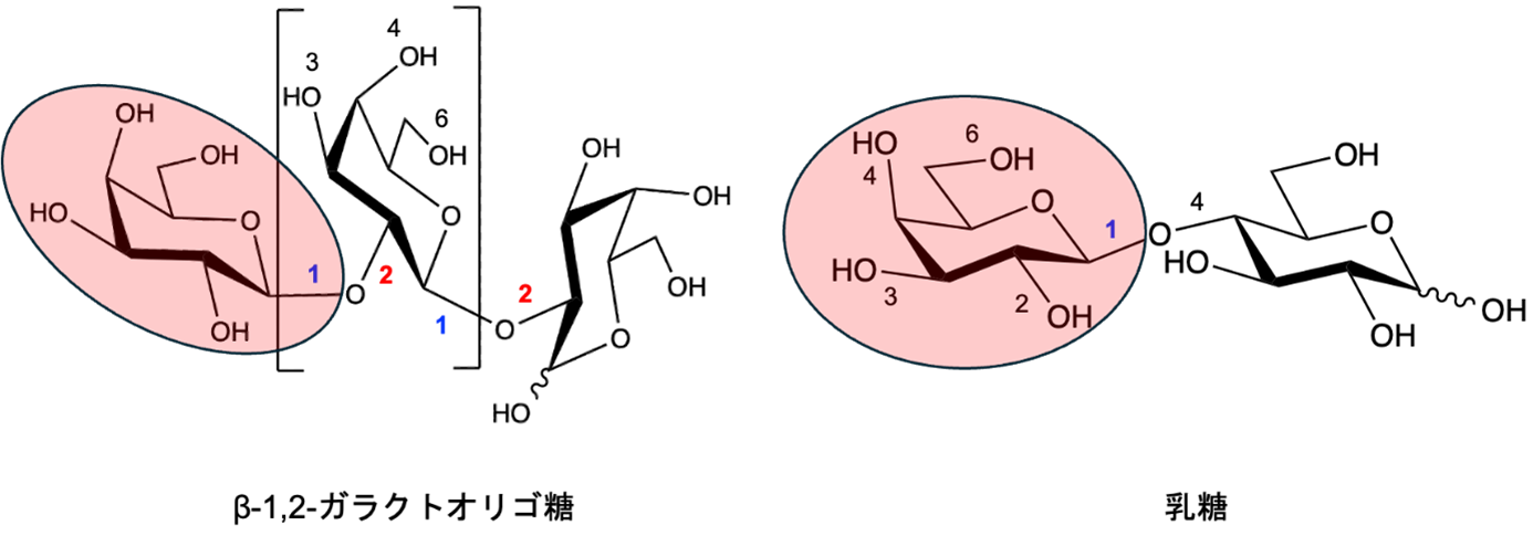 TUSCE_391_JP_Figure.png
