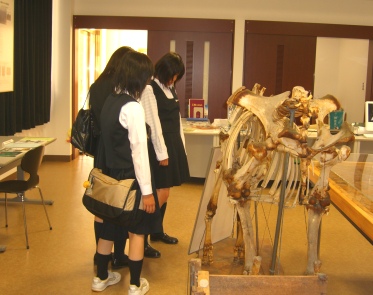 香川大学博物館見学の様子