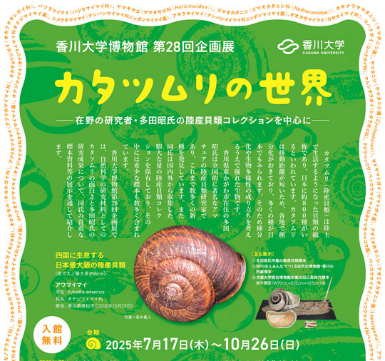 香川大学博物館 第28回企画展 「カタツムリの世界―在野の研究者・多田昭氏の陸産貝類コレクションを中心に―」 開催について
